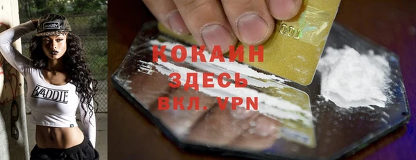 твердый Ельня