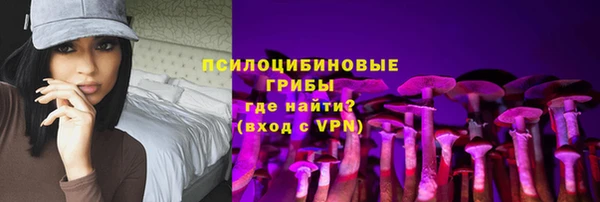 стаф Армянск