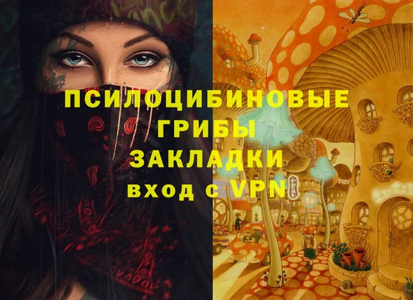стаф Арсеньев