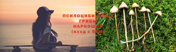 круглые Аркадак