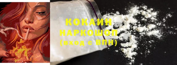 стаф Арсеньев