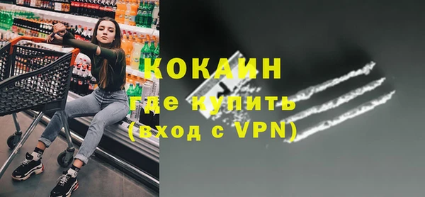 стаф Арсеньев
